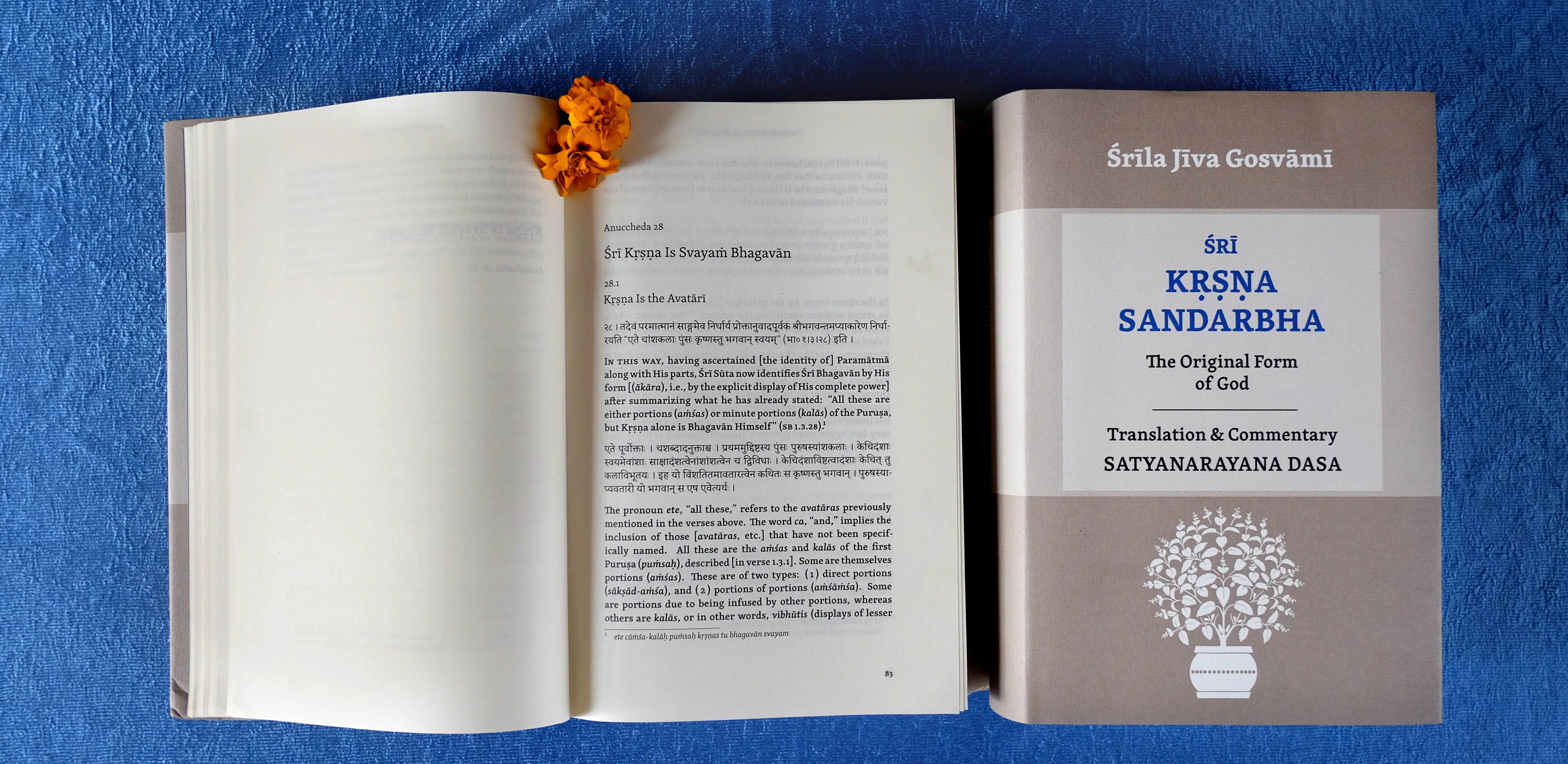 SRI KRSNA SANDARBHA (The Original Form Of God) - Image 4