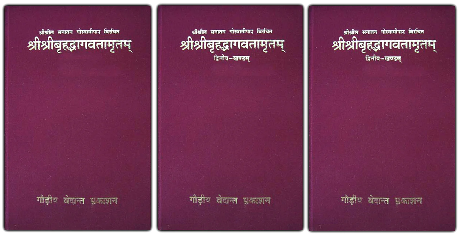 SRI SRI BRIHADAGVATA AMRIT  ( SET OF 3 )