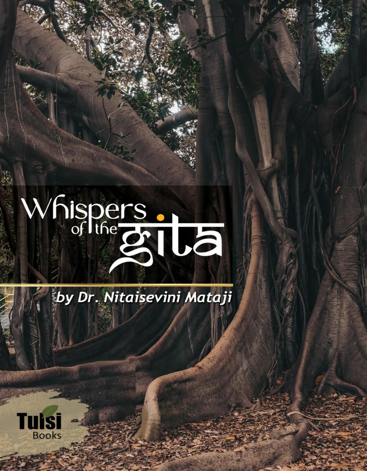 Whispers of the Gita
